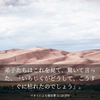 Picture 03 - マタイによる福音書 21:20 JPN - 弟子たちはこれを見て、驚いて言っ - Bible Verse Picture