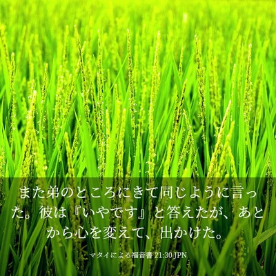 Picture 03 - マタイによる福音書 21:30 JPN - また弟のところにきて同じように言 - Bible Verse Picture