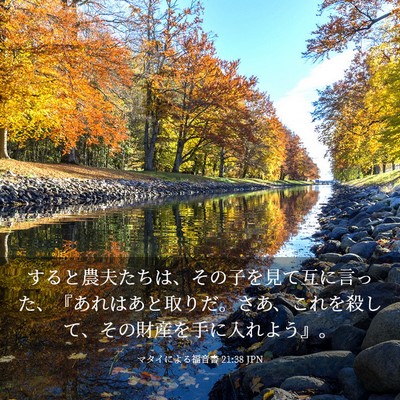Picture 03 - マタイによる福音書 21:38 JPN - すると農夫たちは、その子を見て互 - Bible Verse Picture