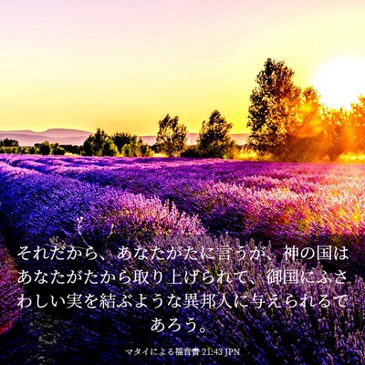 Picture 03 - マタイによる福音書 21:43 JPN - それだから、あなたがたに言うが、 - Bible Verse Picture