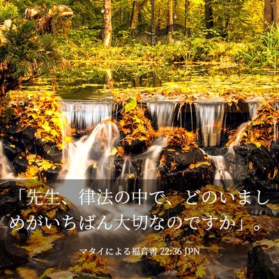Picture 03 - マタイによる福音書 22:36 JPN - 「先生、律法の中で、どのいましめ - Bible Verse Picture