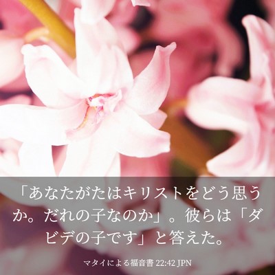 Picture 03 - マタイによる福音書 22:42 JPN - 「あなたがたはキリストをどう思う - Bible Verse Picture