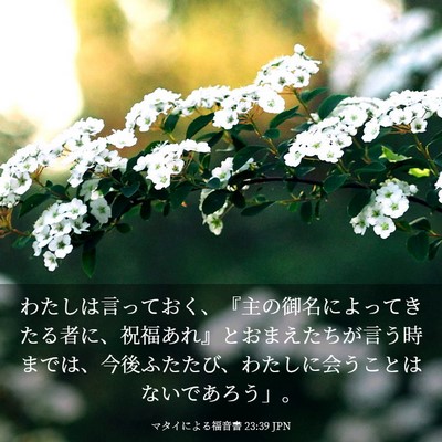 Picture 03 - マタイによる福音書 23:39 JPN - わたしは言っておく、『主の御名に - Bible Verse Picture