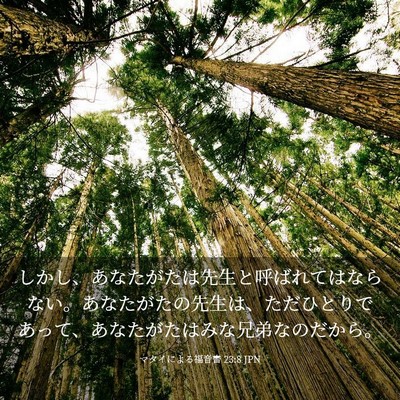 Picture 03 - マタイによる福音書 23:8 JPN - しかし、あなたがたは先生と呼ばれ - Bible Verse Picture