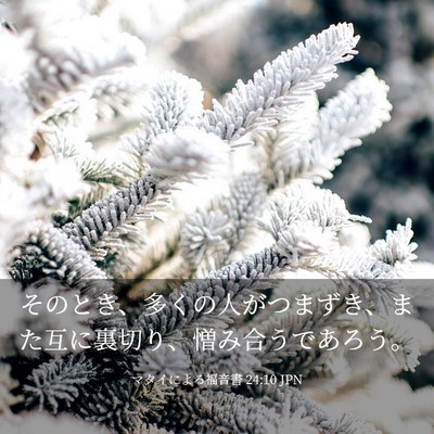 Picture 03 - マタイによる福音書 24:10 JPN - そのとき、多くの人がつまずき、ま - Bible Verse Picture
