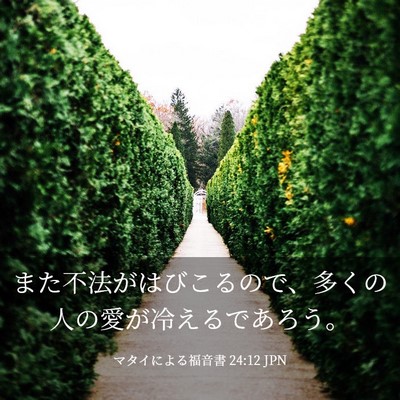 Picture 03 - マタイによる福音書 24:12 JPN - また不法がはびこるので、多くの人 - Bible Verse Picture