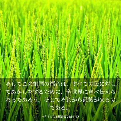 Picture 03 - マタイによる福音書 24:14 JPN - そしてこの御国の福音は、すべての - Bible Verse Picture