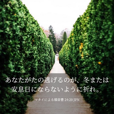 Picture 03 - マタイによる福音書 24:20 JPN - あなたがたの逃げるのが、冬または - Bible Verse Picture