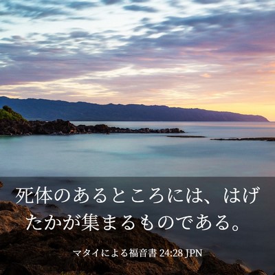 Picture 03 - マタイによる福音書 24:28 JPN - 死体のあるところには、はげたかが - Bible Verse Picture