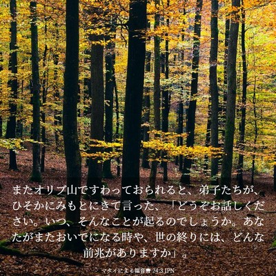 Picture 03 - マタイによる福音書 24:3 JPN - またオリブ山ですわっておられると - Bible Verse Picture