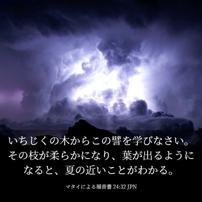 Picture 03 - マタイによる福音書 24:32 JPN - いちじくの木からこの譬を学びなさ - Bible Verse Picture