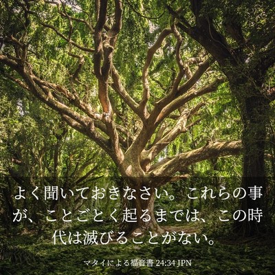 Picture 03 - マタイによる福音書 24:34 JPN - よく聞いておきなさい。これらの事 - Bible Verse Picture