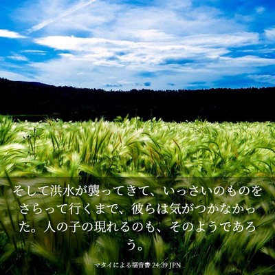 Picture 03 - マタイによる福音書 24:39 JPN - そして洪水が襲ってきて、いっさい - Bible Verse Picture