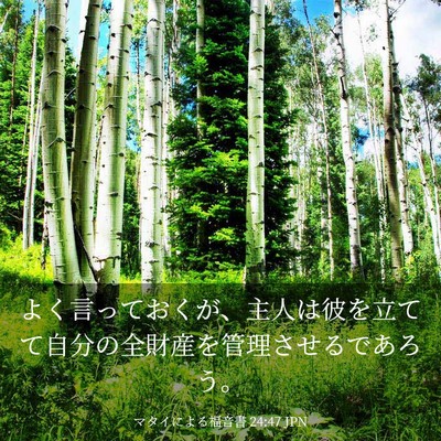 Picture 03 - マタイによる福音書 24:47 JPN - よく言っておくが、主人は彼を立て - Bible Verse Picture
