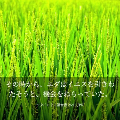 Picture 03 - マタイによる福音書 26:16 JPN - その時から、ユダはイエスを引きわ - Bible Verse Picture
