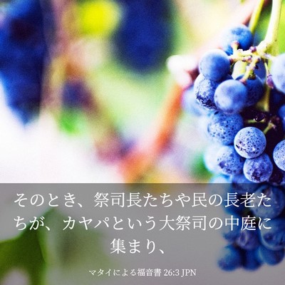 Picture 03 - マタイによる福音書 26:3 JPN - そのとき、祭司長たちや民の長老た - Bible Verse Picture