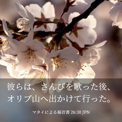 Picture 03 - マタイによる福音書 26:30 JPN - 彼らは、さんびを歌った後、オリブ - Bible Verse Picture
