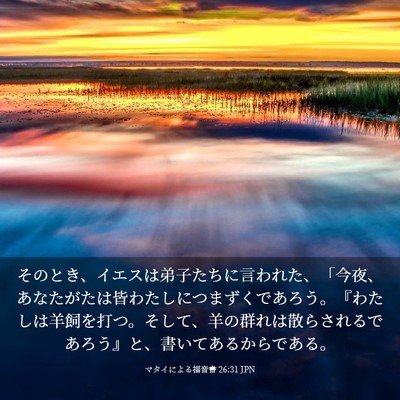 Picture 03 - マタイによる福音書 26:31 JPN - そのとき、イエスは弟子たちに言わ - Bible Verse Picture