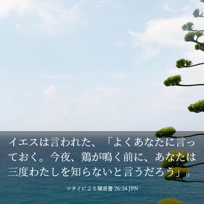 Picture 03 - マタイによる福音書 26:34 JPN - イエスは言われた、「よくあなたに - Bible Verse Picture