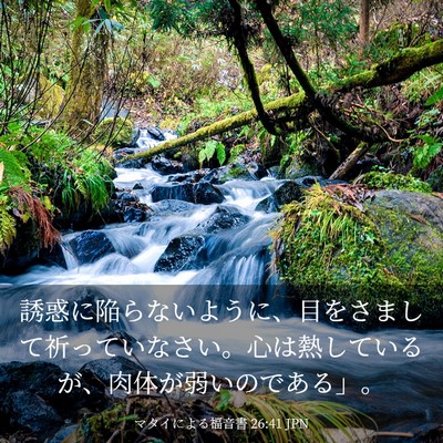 Picture 03 - マタイによる福音書 26:41 JPN - 誘惑に陥らないように、目をさまし - Bible Verse Picture