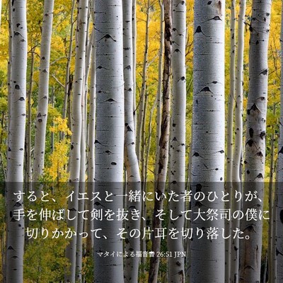 Picture 03 - マタイによる福音書 26:51 JPN - すると、イエスと一緒にいた者のひ - Bible Verse Picture