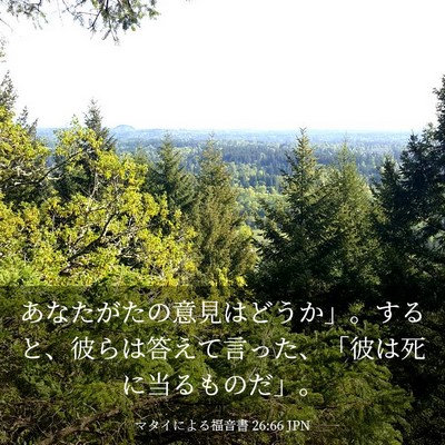 Picture 03 - マタイによる福音書 26:66 JPN - あなたがたの意見はどうか」。する - Bible Verse Picture