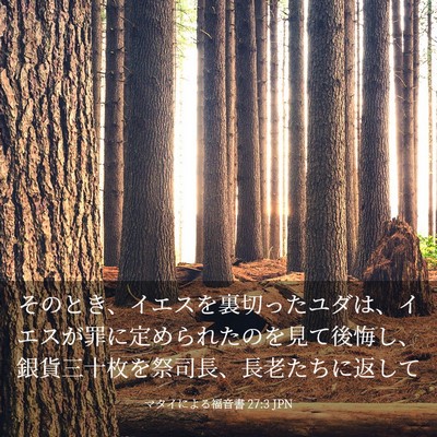 Picture 03 - マタイによる福音書 27:3 JPN - そのとき、イエスを裏切ったユダは - Bible Verse Picture