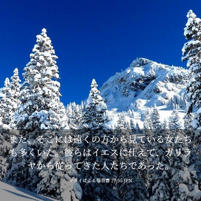 Picture 03 - マタイによる福音書 27:55 JPN - また、そこには遠くの方から見てい - Bible Verse Picture