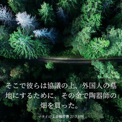 Picture 03 - マタイによる福音書 27:7 JPN - そこで彼らは協議の上、外国人の墓 - Bible Verse Picture
