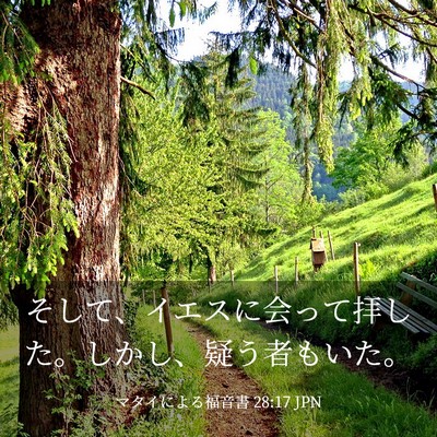 Picture 03 - マタイによる福音書 28:17 JPN - そして、イエスに会って拝した。し - Bible Verse Picture