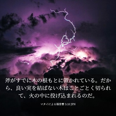 Picture 03 - マタイによる福音書 3:10 JPN - 斧がすでに木の根もとに置かれてい - Bible Verse Picture