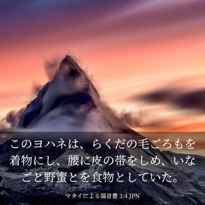 Picture 03 - マタイによる福音書 3:4 JPN - このヨハネは、らくだの毛ごろもを - Bible Verse Picture