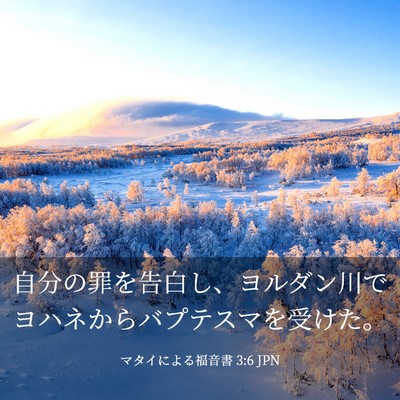 Picture 03 - マタイによる福音書 3:6 JPN - 自分の罪を告白し、ヨルダン川でヨ - Bible Verse Picture