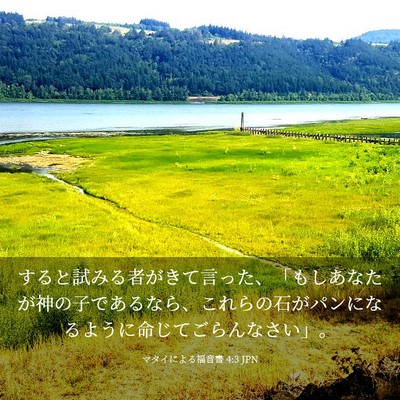 Picture 03 - マタイによる福音書 4:3 JPN - すると試みる者がきて言った、「も - Bible Verse Picture