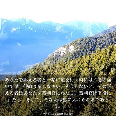 Picture 03 - マタイによる福音書 5:25 JPN - あなたを訴える者と一緒に道を行く - Bible Verse Picture