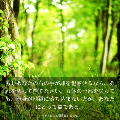 Picture 03 - マタイによる福音書 5:30 JPN - もしあなたの右の手が罪を犯させる - Bible Verse Picture