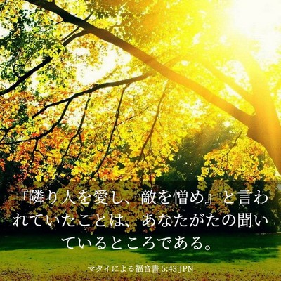 Picture 03 - マタイによる福音書 5:43 JPN - 『隣り人を愛し、敵を憎め』と言わ - Bible Verse Picture