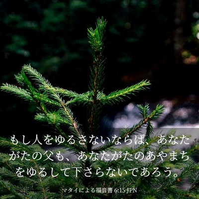 Picture 03 - マタイによる福音書 6:15 JPN - もし人をゆるさないならば、あなた - Bible Verse Picture