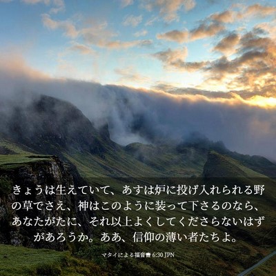 Picture 03 - マタイによる福音書 6:30 JPN - きょうは生えていて、あすは炉に投 - Bible Verse Picture