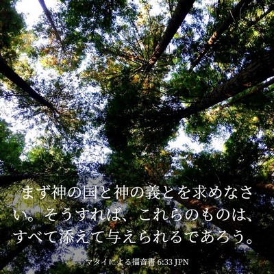 Picture 03 - マタイによる福音書 6:33 JPN - まず神の国と神の義とを求めなさい - Bible Verse Picture