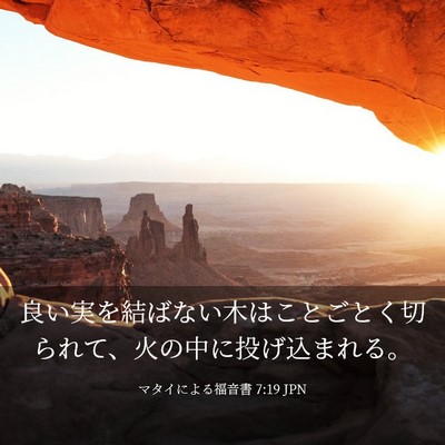 Picture 03 - マタイによる福音書 7:19 JPN - 良い実を結ばない木はことごとく切 - Bible Verse Picture