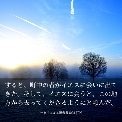 Picture 03 - マタイによる福音書 8:34 JPN - すると、町中の者がイエスに会いに - Bible Verse Picture