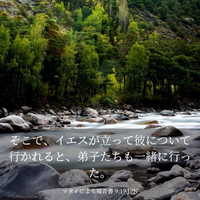 Picture 03 - マタイによる福音書 9:19 JPN - そこで、イエスが立って彼について - Bible Verse Picture