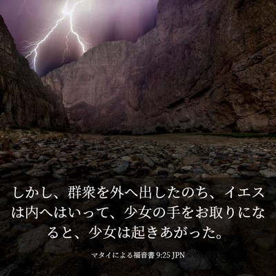 Picture 03 - マタイによる福音書 9:25 JPN - しかし、群衆を外へ出したのち、イ - Bible Verse Picture