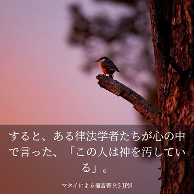 Picture 03 - マタイによる福音書 9:3 JPN - すると、ある律法学者たちが心の中 - Bible Verse Picture