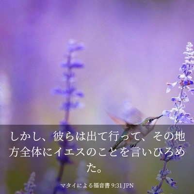 Picture 03 - マタイによる福音書 9:31 JPN - しかし、彼らは出て行って、その地 - Bible Verse Picture