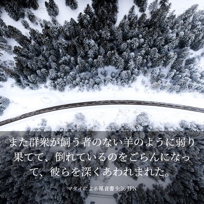 Picture 03 - マタイによる福音書 9:36 JPN - また群衆が飼う者のない羊のように - Bible Verse Picture