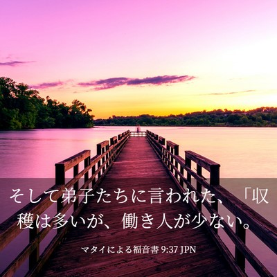 Picture 03 - マタイによる福音書 9:37 JPN - そして弟子たちに言われた、「収穫 - Bible Verse Picture