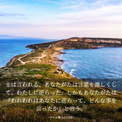 Picture 03 - マラキ書 3:13 JPN - 主は言われる、あなたがたは言葉を - Bible Verse Picture