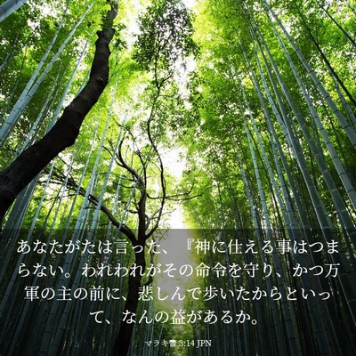 Picture 03 - マラキ書 3:14 JPN - あなたがたは言った、『神に仕える - Bible Verse Picture